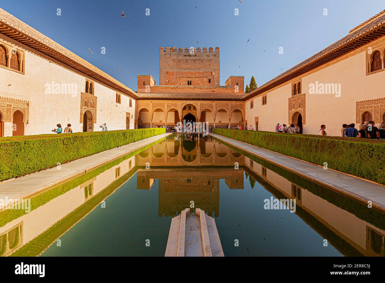 Grenade, Espagne 07-12-2010: Palais de l'Alhambra piscine de réflexion avec le reflet du palais dans les eaux sombres. L'image présente la clôture de la bague Banque D'Images