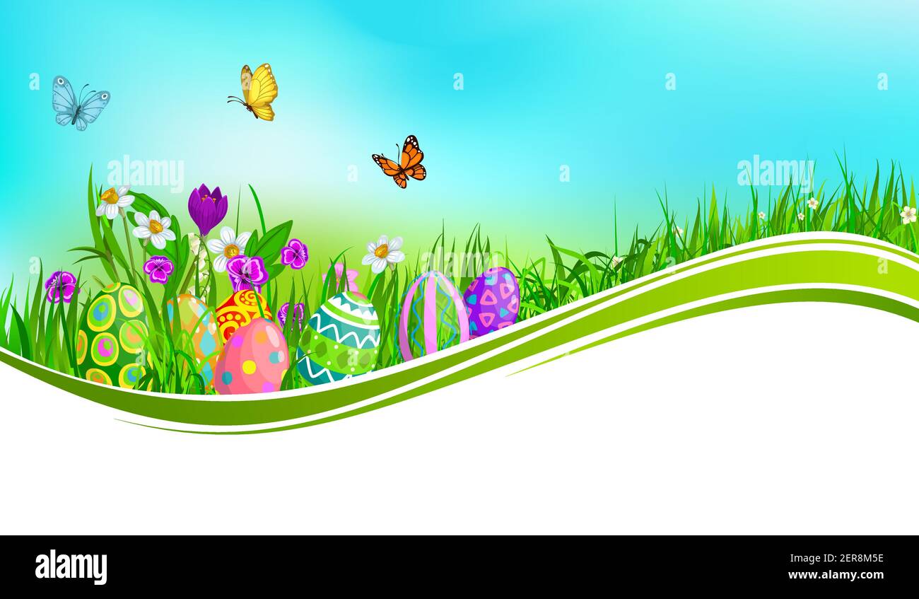 Œufs de Pâques avec bannière vectorielle verte à motif d'herbe. Les oeufs de Pâques, les lames d'herbe de printemps et les fleurs de jonquilles, de crocodiles, de lys de vallée et de casserole Illustration de Vecteur