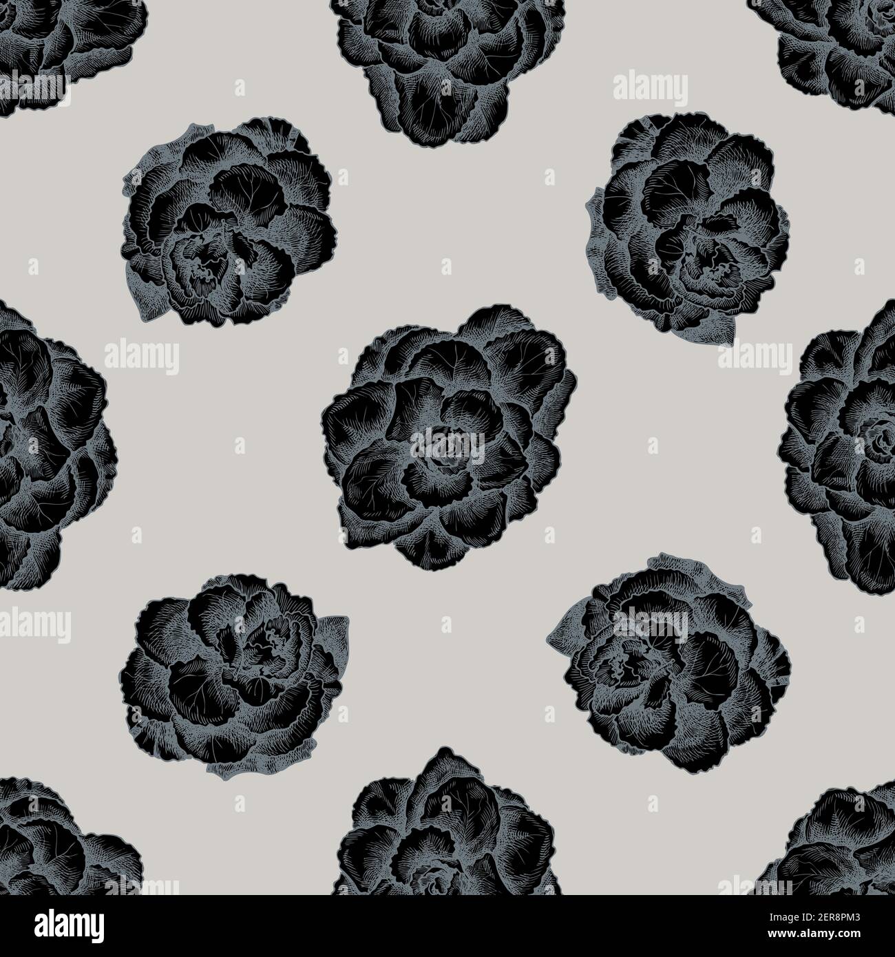 Motif sans couture avec brassica stylisé dessiné à la main Illustration de Vecteur