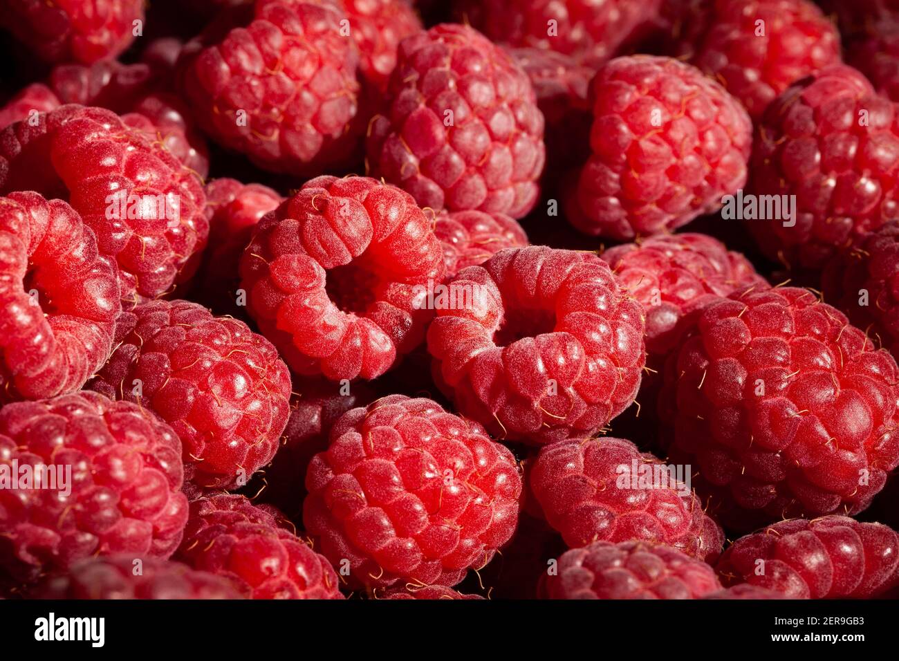 gros plan sur la macro raspberry group Banque D'Images