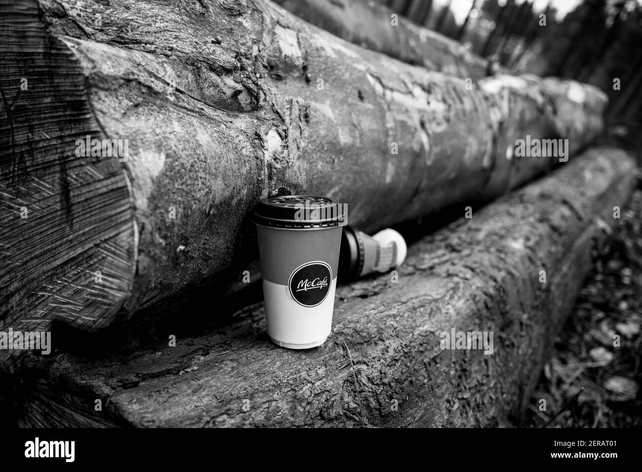 Tasse McCafe To Go mise au rebut sur un arbre abattu. Banque D'Images