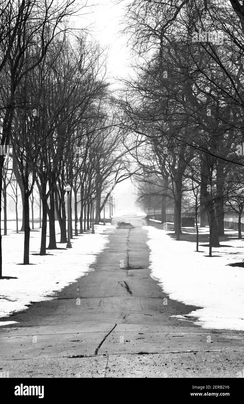 Vide sentier de parc dans la ville en hiver brouillard Banque D'Images