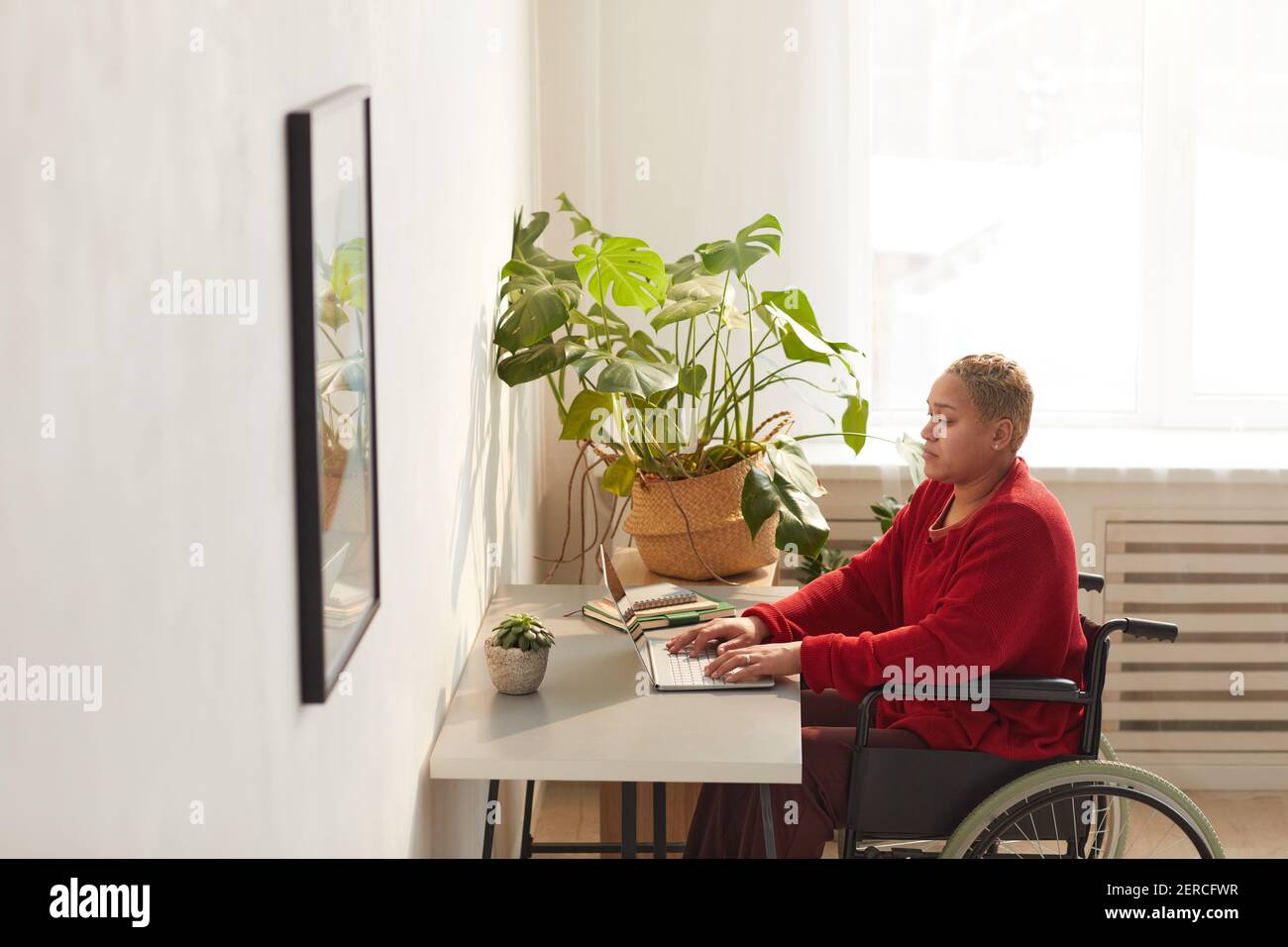 Portrait de la femme moderne de course mixte en fauteuil roulant tout en travaillant de la maison au bureau éclairé par la lumière du soleil, espace de copie Banque D'Images