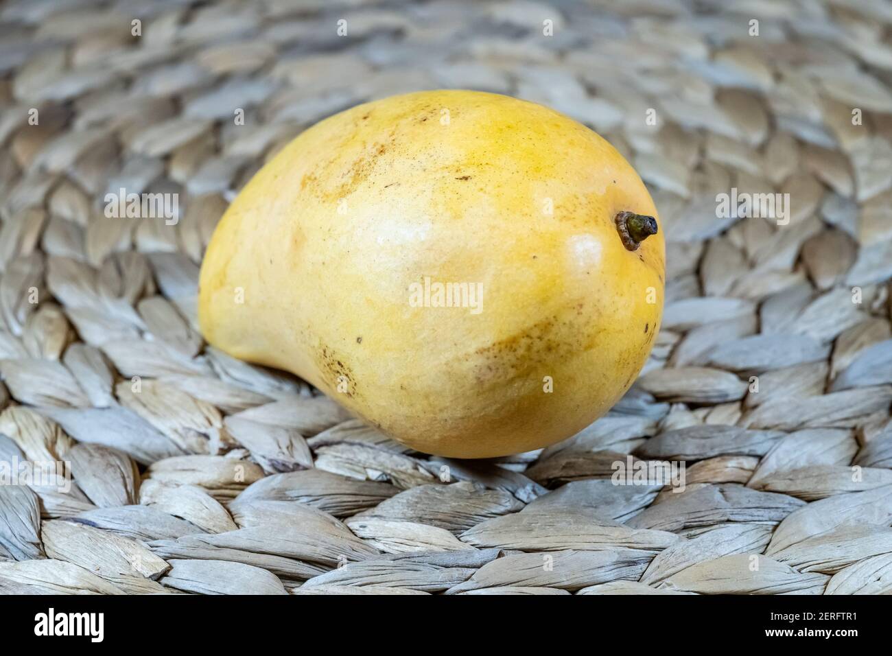 La mangue 'Ataúlfo', aussi appelée jeune, bébé, jaune, miel, Adaulfo, Adolfo ou Champagne[1] est un cultivar de mangue du Mexique. Banque D'Images