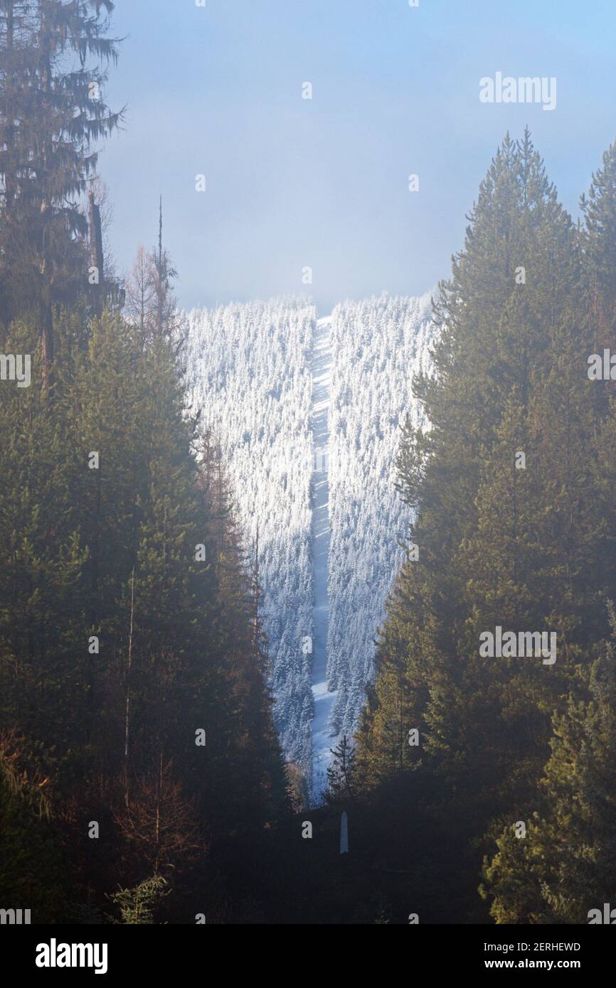 Les États-Unis et le Canada ont établi une frontière internationale entre la Colombie-Britannique et le Montana dans les montagnes Purcell. (Photo de Randy Beacham) Banque D'Images