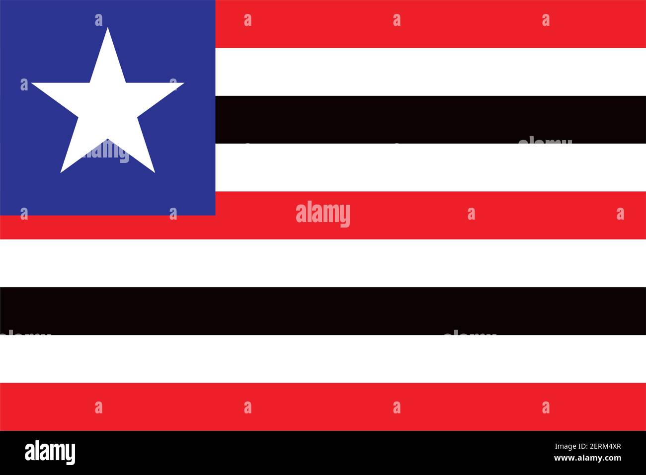 Maranhao drapeau officiel Illustration de Vecteur