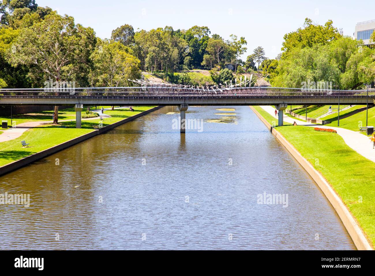 Rivière Parramatta dans le centre-ville avec espace vert ouvert Sur l'estran et le pont piétonnier à travers la rivière parramatta, Western Sydney, Australie Banque D'Images