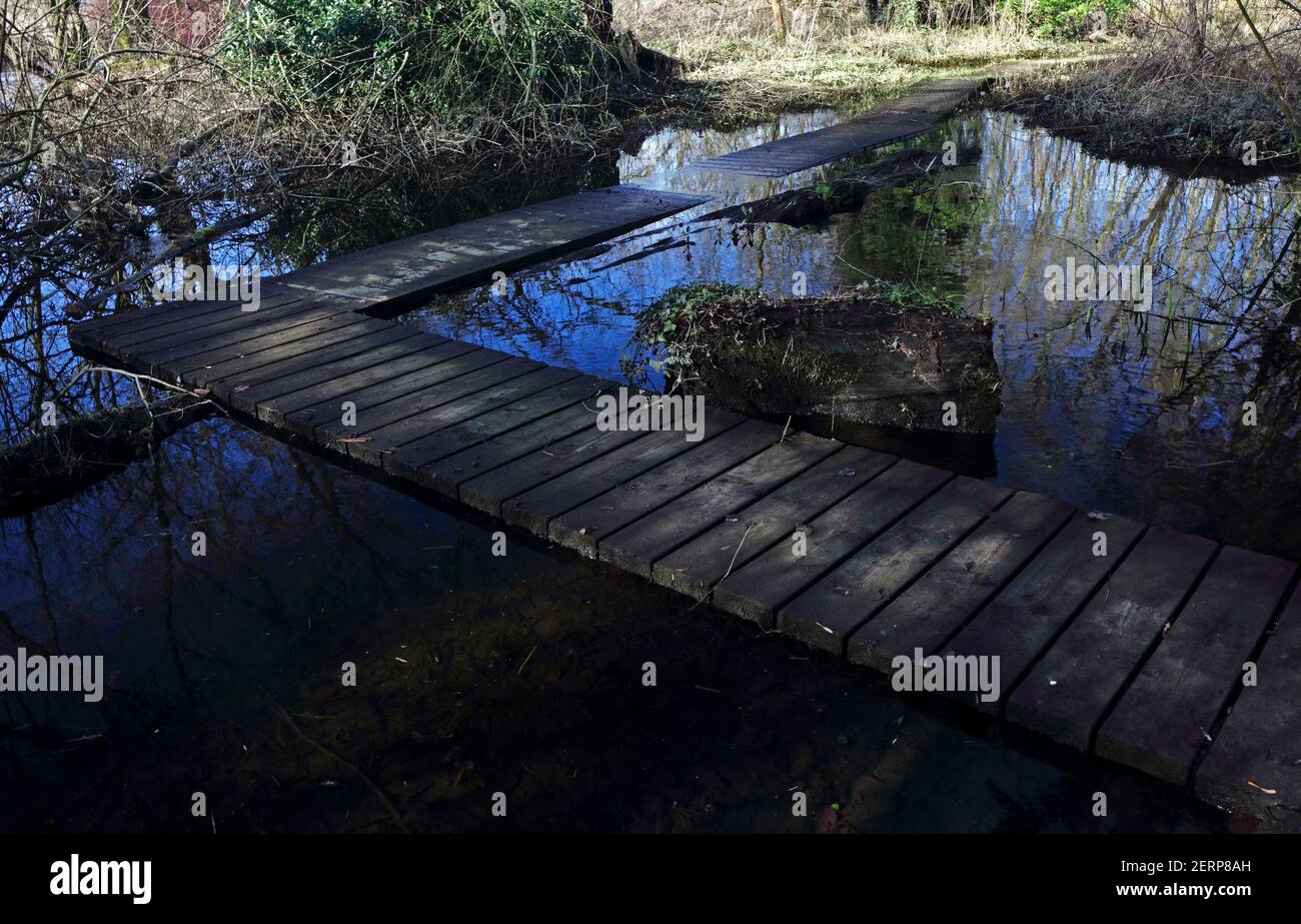 Une promenade en bois traversant une zone inondée en surpassant la rivière Wensum par les voies vertes de Drayton à Drayton, Norfolk, Angleterre, Royaume-Uni. Banque D'Images