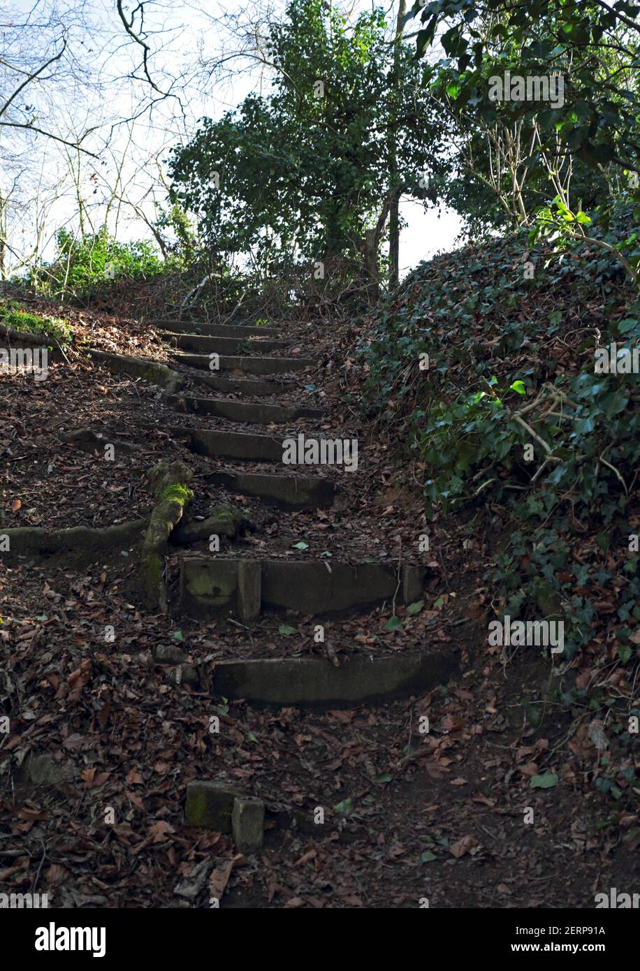 Marches rustiques en partant de la promenade au bord de la rivière Wensum jusqu'au sentier de Drayton Green Lanes à Drayton, Norfolk, Angleterre, Royaume-Uni. Banque D'Images