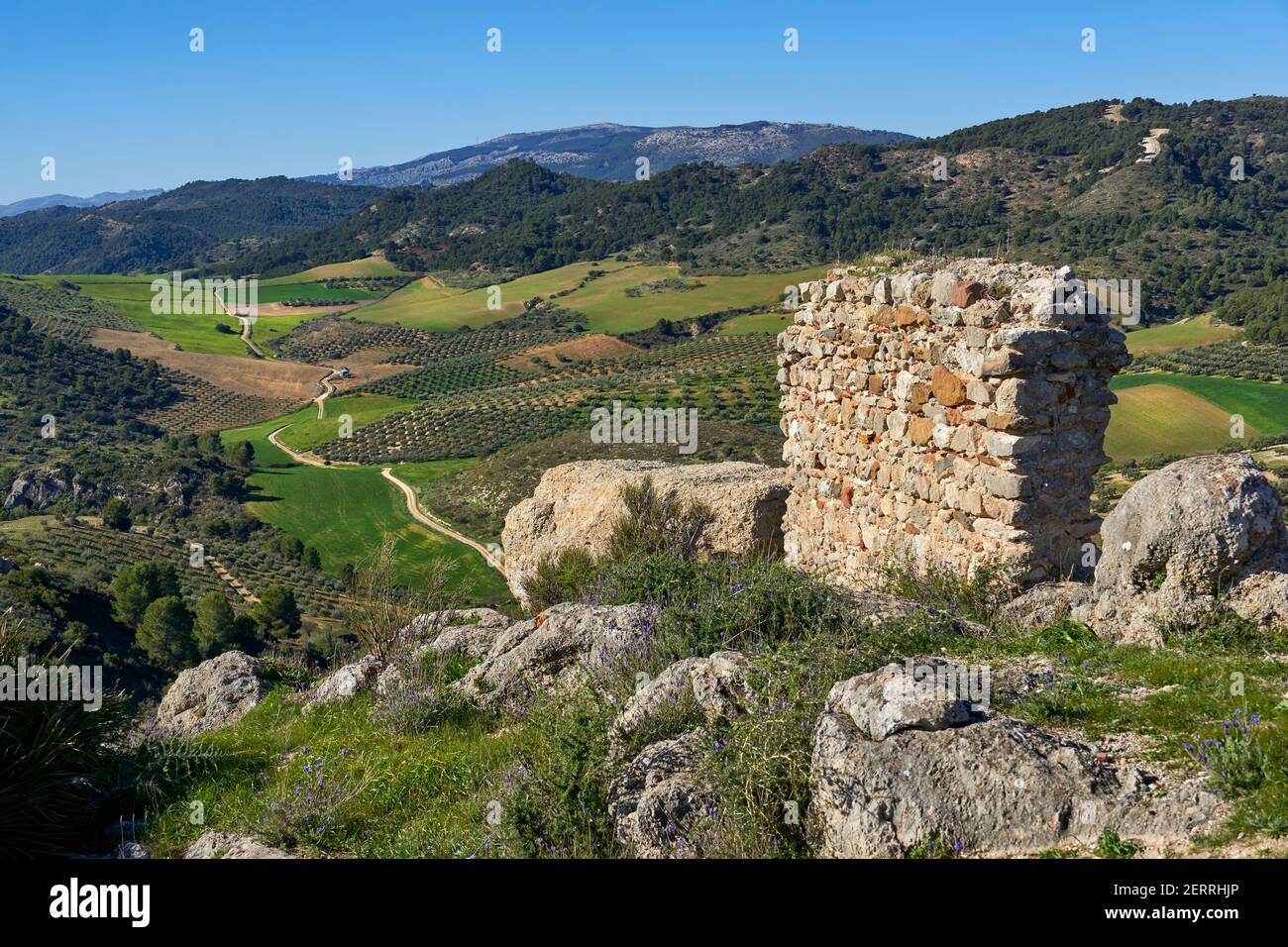 Vestiges du mur et du château de Turon dans les Ardales, province de Malaga. Andalousie, Espagne. Banque D'Images