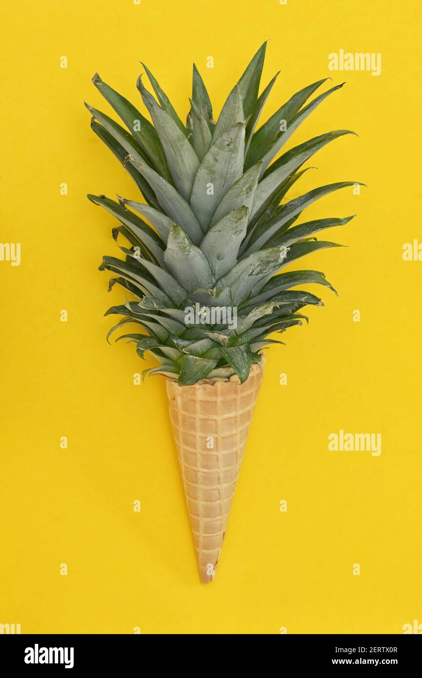 Cône conceptuel de gaufre de crème glacée de feuilles d'ananas Banque D'Images