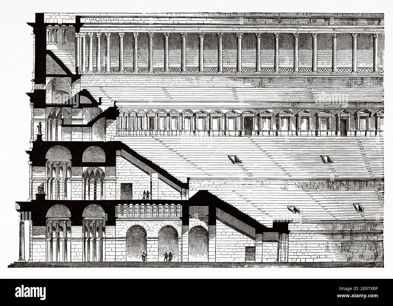 Une gravure représentant une coupe transversale du Colisée, Rome, ancien empire romain. Italie, Europe. Ancienne illustration gravée du XIXe siècle, El Mundo Ilustrado 1881 Banque D'Images