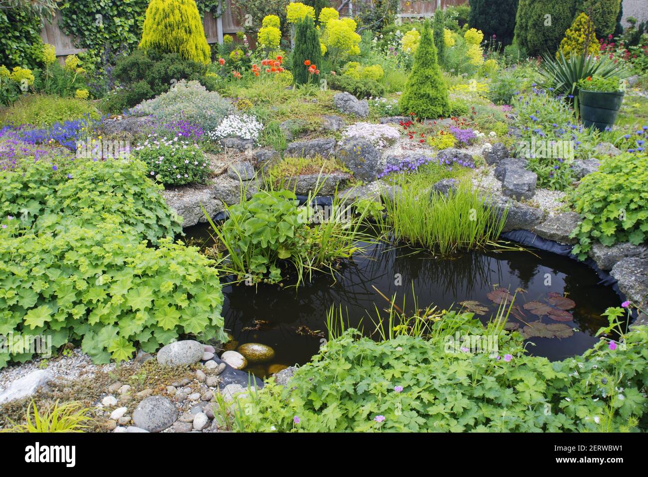 Garden Pond avec Rockery classique formé à partir de la terre creusé Sortie pour l'étang Essex UK PL000242 Banque D'Images