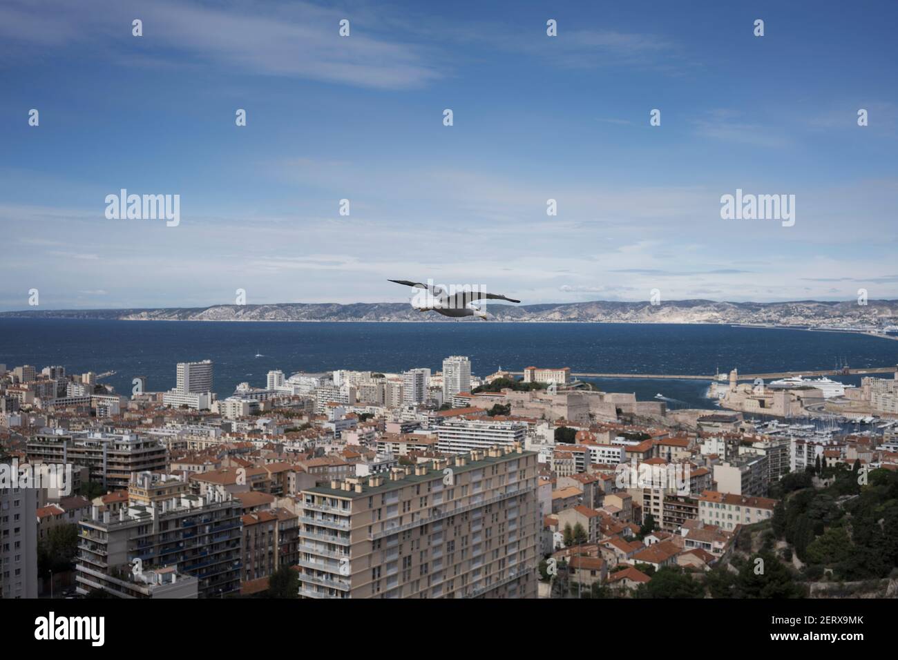 Un mouette vole sur les courants d'air dans le ciel De Marseille Banque D'Images