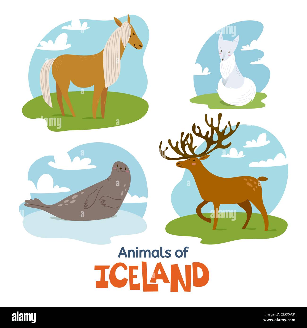 Animaux d'Islande dans un style moderne et plat Illustration de Vecteur