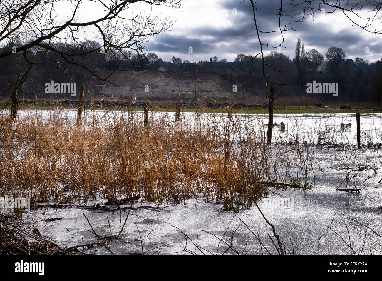 Paysage de campagne avec glace sur les eaux d'inondation Banque D'Images
