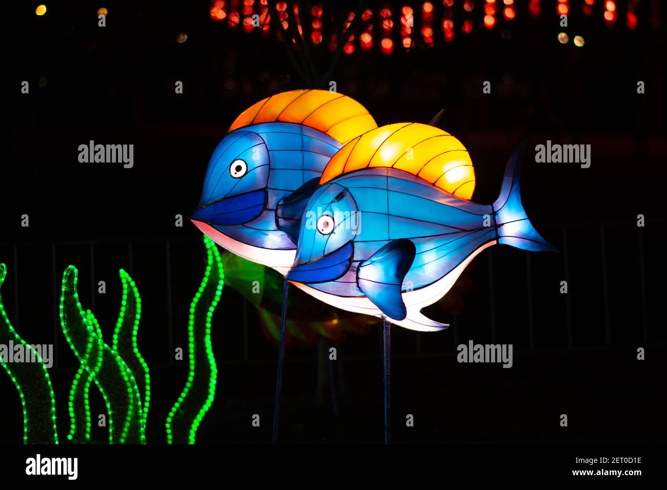 Le Festival des lanternes chinoises au parc de Limanski à Novi Sad. Deux lanternes bleues en forme de poisson avec nageoires dorsales dorées sont fixées sur les bâtonnets. Banque D'Images