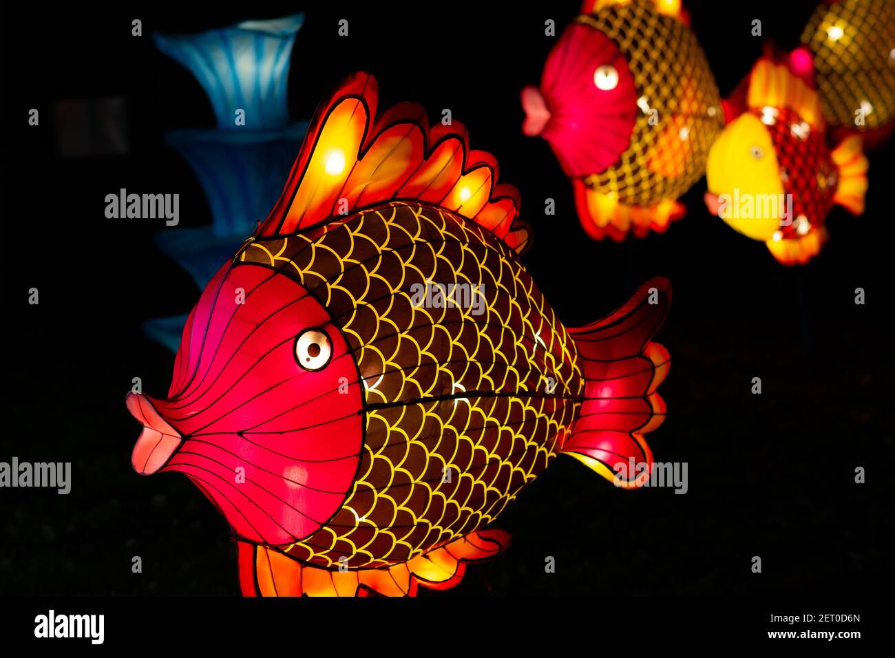 Le Festival des lanternes chinoises au parc de Limanski à Novi Sad. Une lanterne de charme de poisson. Un accent sélectif est mis sur le poisson de front. Banque D'Images