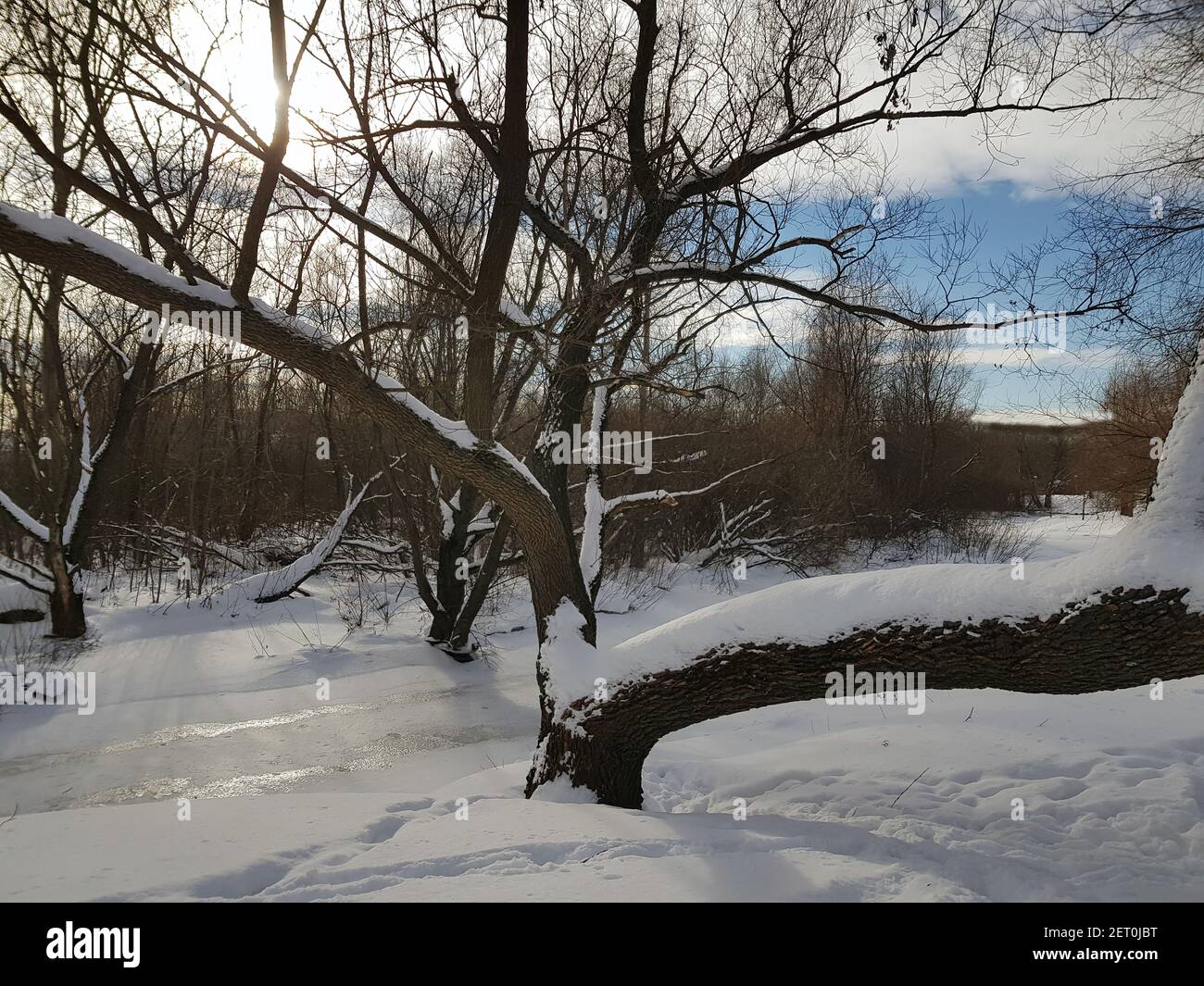 Photo mobile. Hiver gelé et enneigé. Le ruisseau a gelé. Banque D'Images