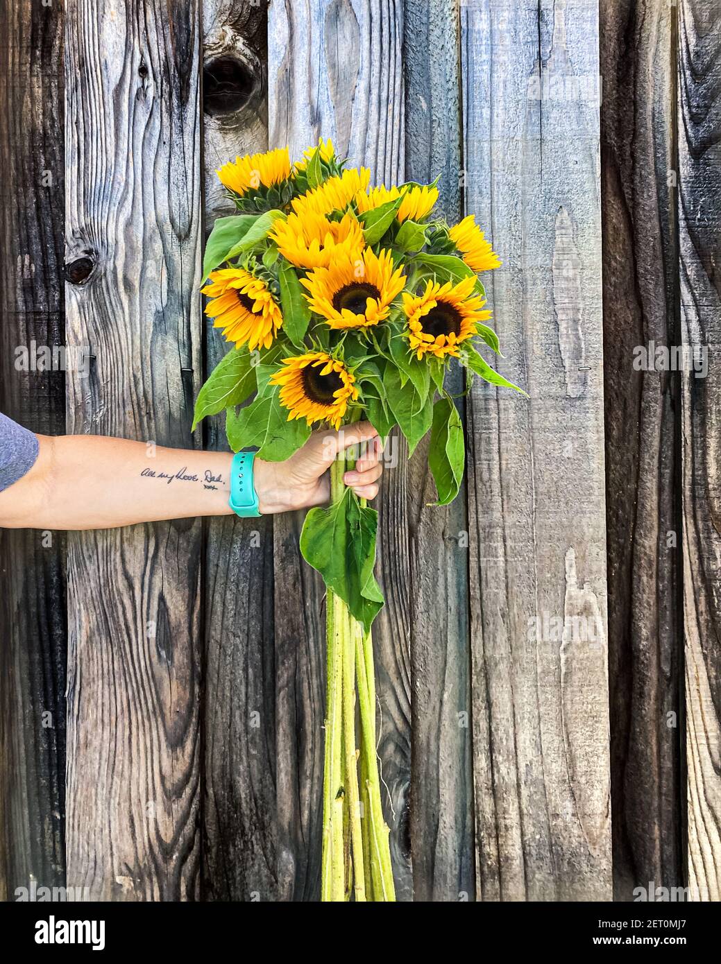 Main de femme tenant un bouquet de tournesols jaunes Banque D'Images