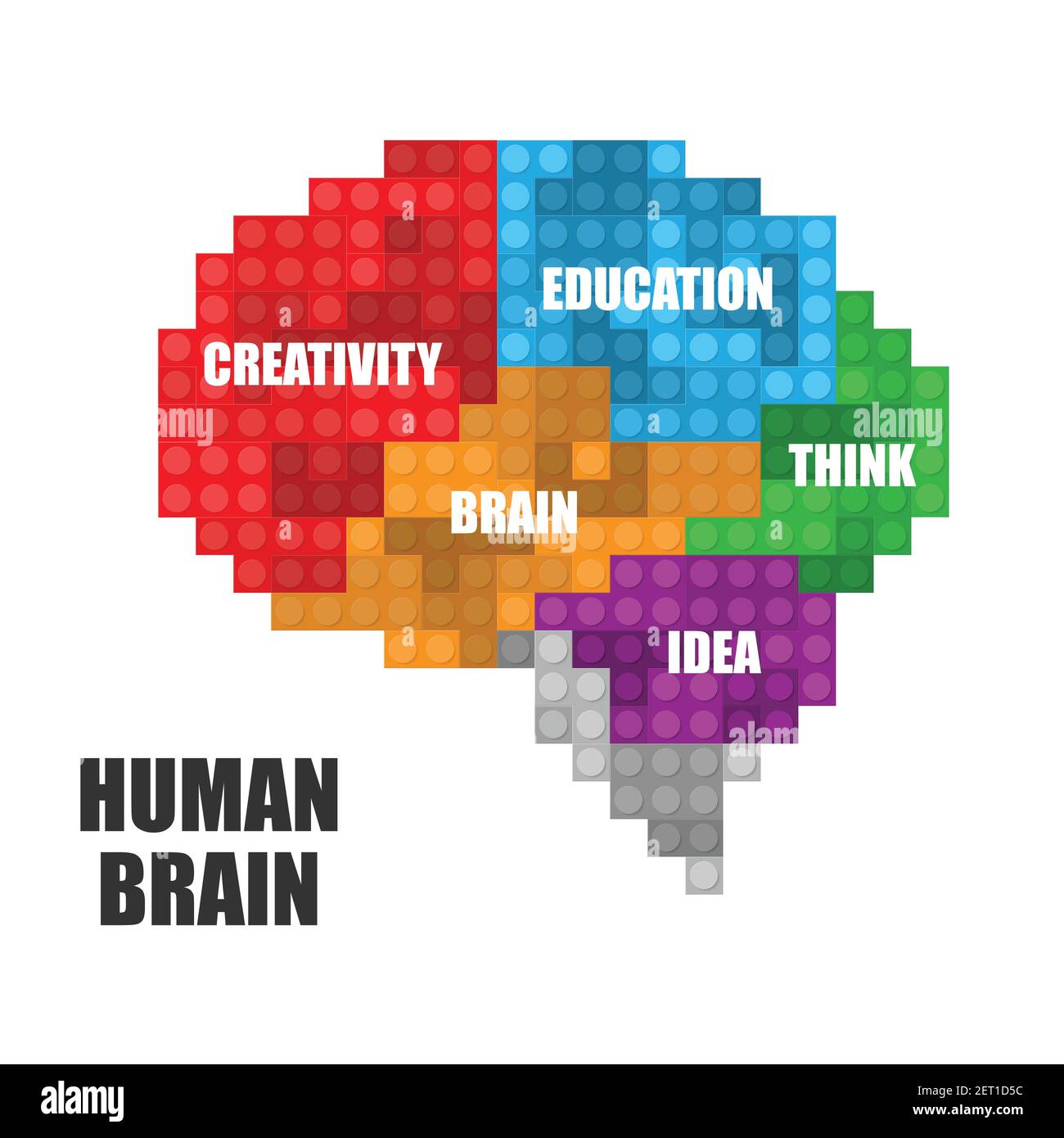 Kit d'interprétation du cerveau humain Illustration de Vecteur