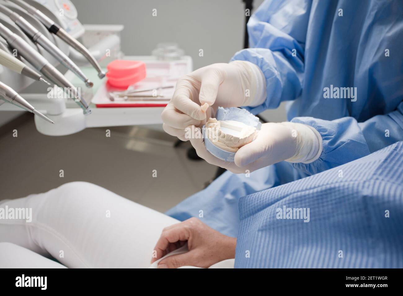 dentiste avec dent en main et mâchoire dans l'autre. Banque D'Images