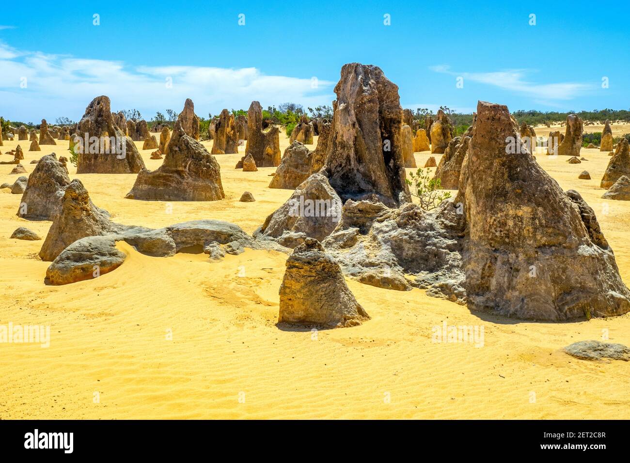 Pinnacles Desert a traversé des piliers de calcaire attraction touristique populaire dans le parc national de Nambung à 200 km au nord de Perth Australie occidentale. Banque D'Images