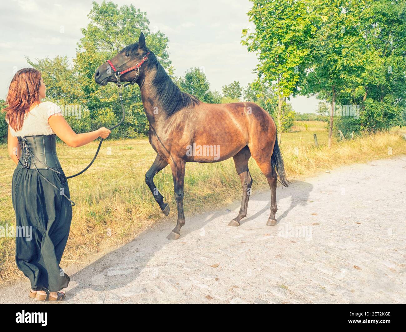 Femme conduisant un cheval le long d'une route, Pologne Banque D'Images