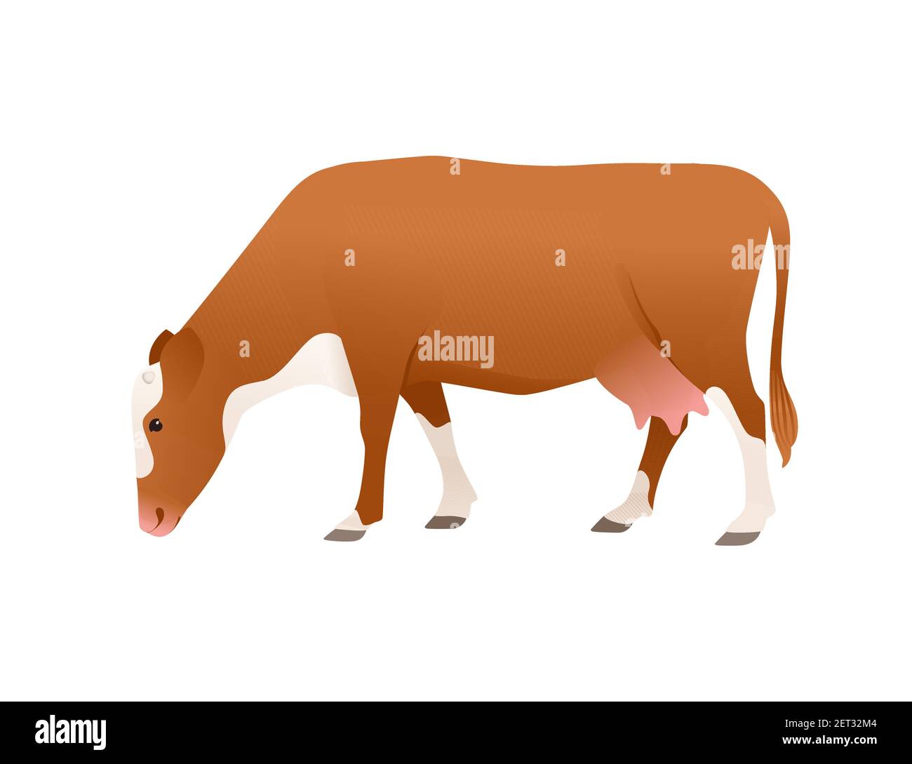 Bétail laitier vache simmental tacheté animal mammifère domestique dessin animé illustration vectorielle sur fond blanc Illustration de Vecteur