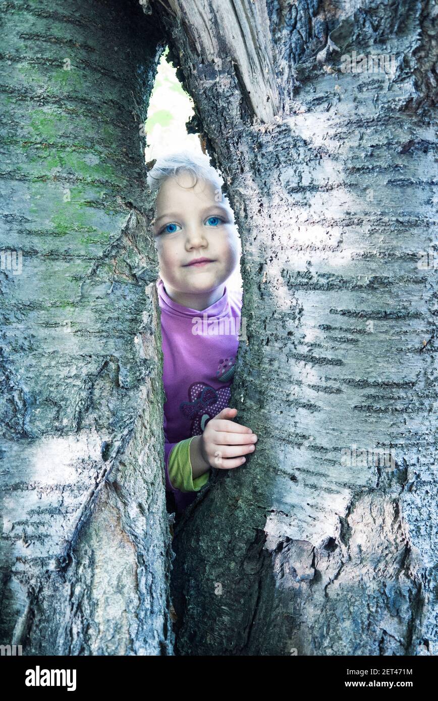 Fille regardant à travers un écart entre deux arbres de bouleau blanc, Pologne Banque D'Images