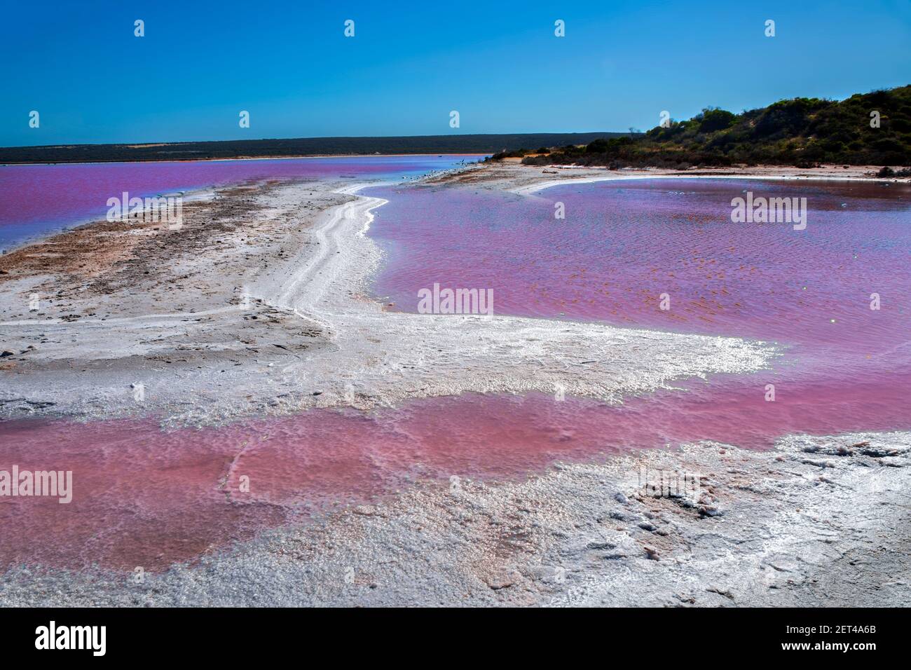 Hutt Lagoon, Western Australia, Australia Banque D'Images