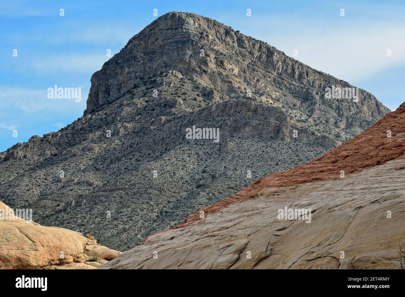 Turtlehead Peak dans la zone naturelle nationale de Red Rock Canyon, Nevada Banque D'Images