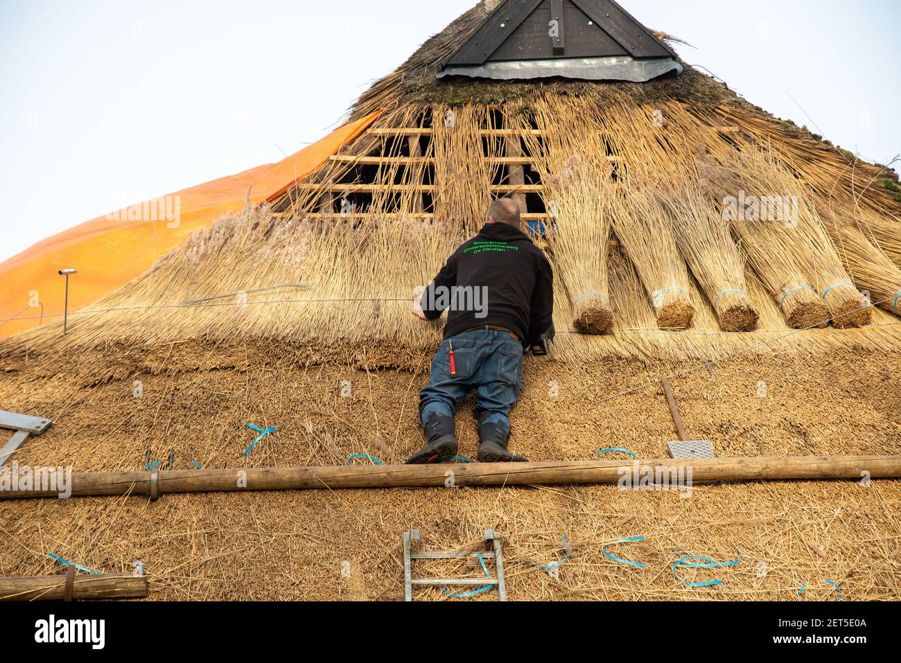 Un employé de reed répare le toit de l'ancienne ferme de Giethoorn, Weerribben, Hollande Banque D'Images