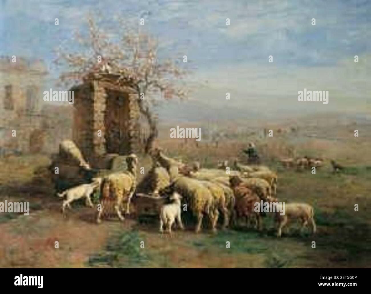 Paul Vayson Moutions pour l'extérieur d'un abreuvoir. Banque D'Images