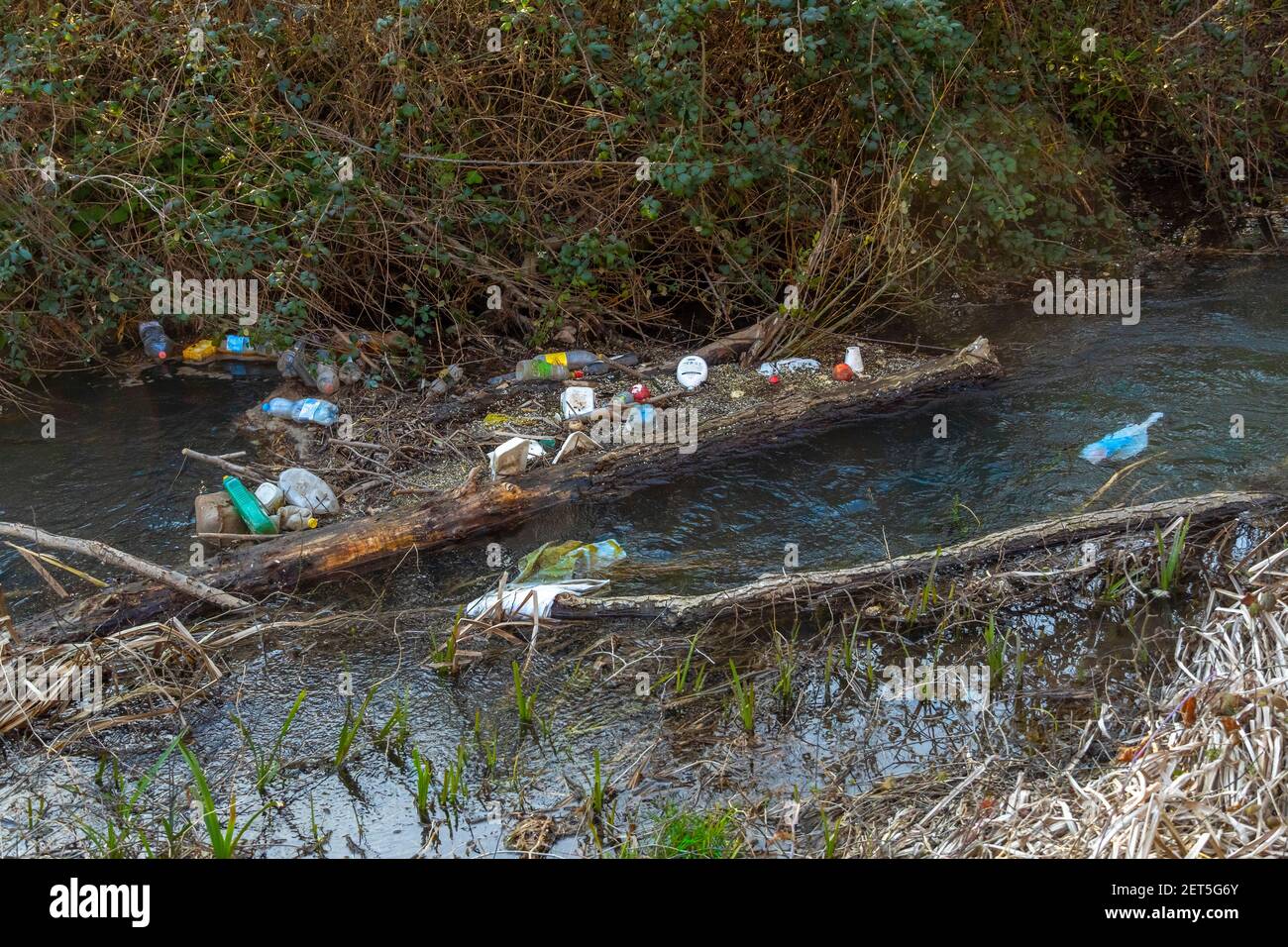 Déchets transportés par la rivière et piégés dans la végétation Banque D'Images