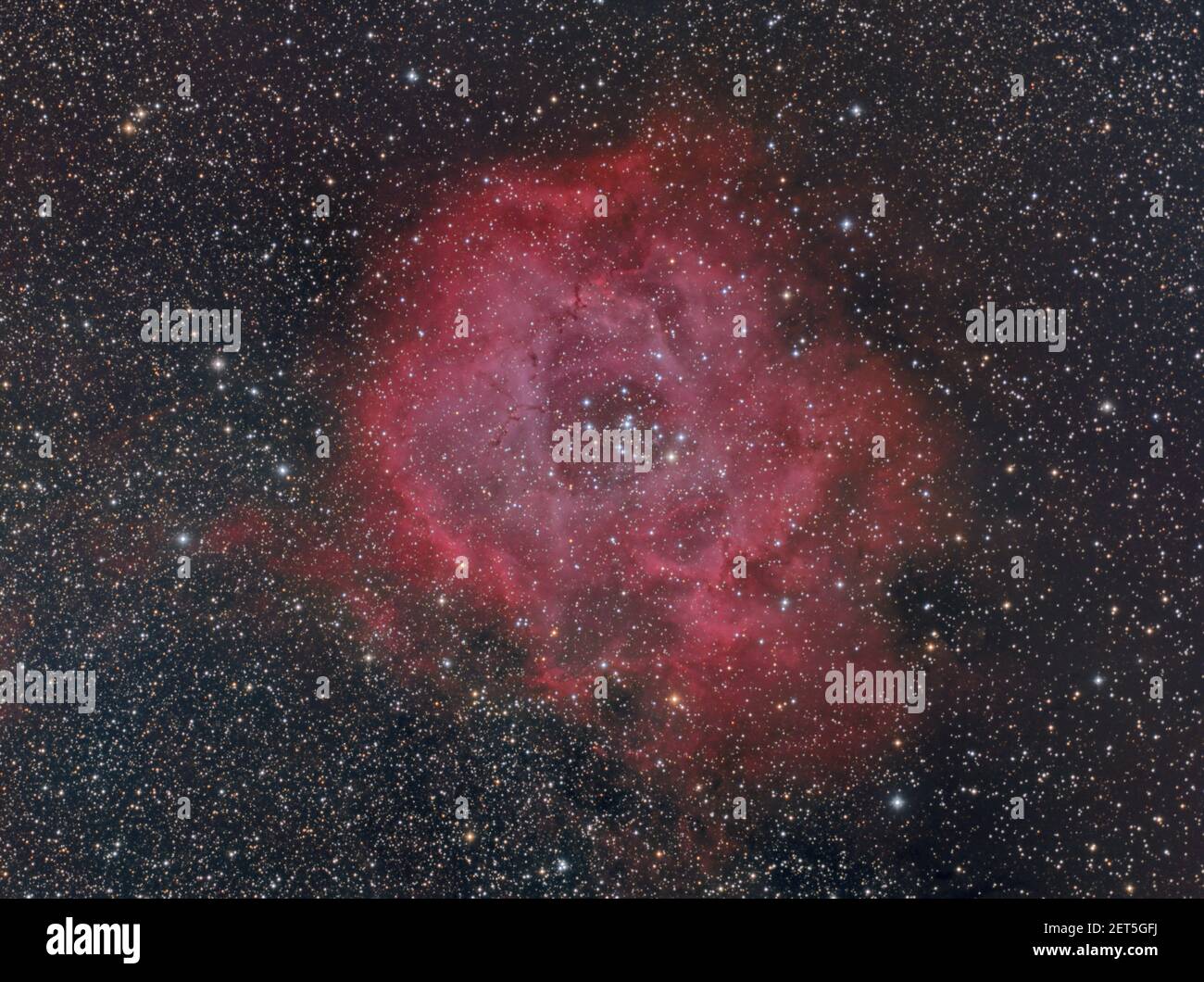 Rosette Nebula - Caldwell 49 Banque D'Images