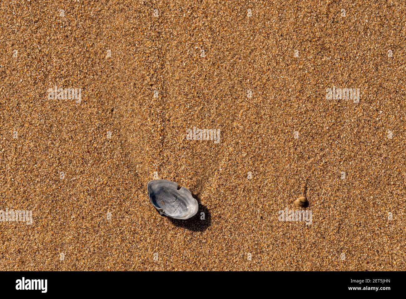 Sable doré de plage Banque D'Images