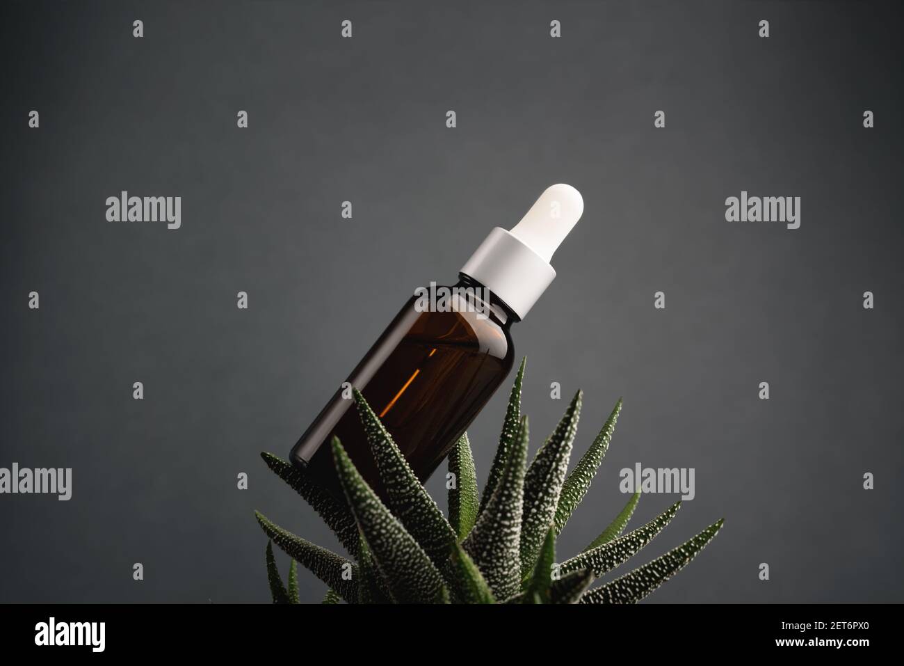 Flacon compte-gouttes en verre avec pipette à embout en caoutchouc blanc sur fond vert de feuilles naturelles nettes. Concept de la peau de la nature. Cosmétiques bio Spa. Banque D'Images