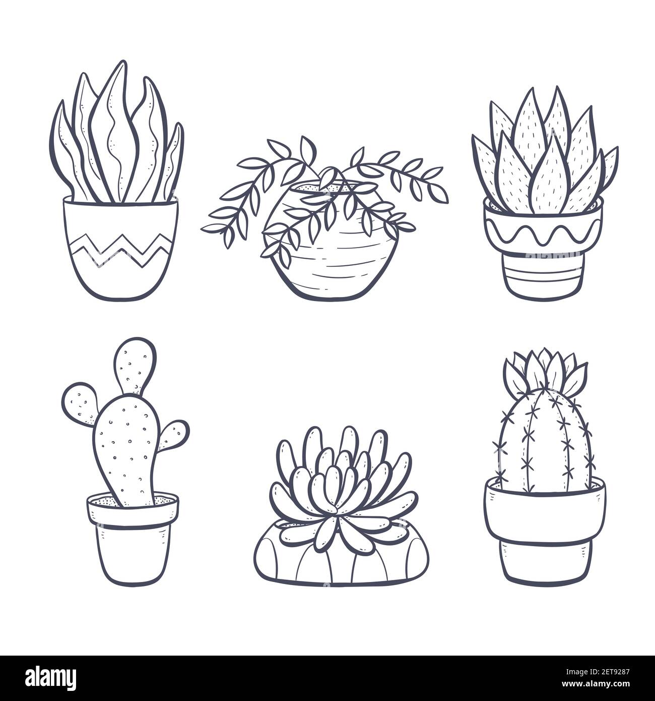 Collection de plantes de maison dessinées à la main isolées sur fond blanc. Ensemble de plantes décoratives d'intérieur et de bureau en pot. Illustration vectorielle avec une splas Illustration de Vecteur