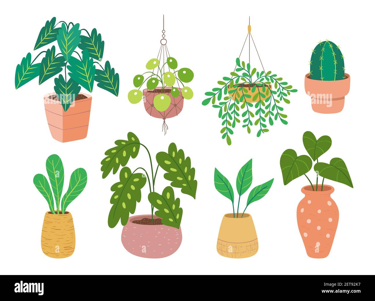 Collection de plantes de maison isolées sur fond blanc. Ensemble de huit plantes décoratives d'intérieur et de bureau en pot. Illustration vectorielle colorée plate. Se Illustration de Vecteur