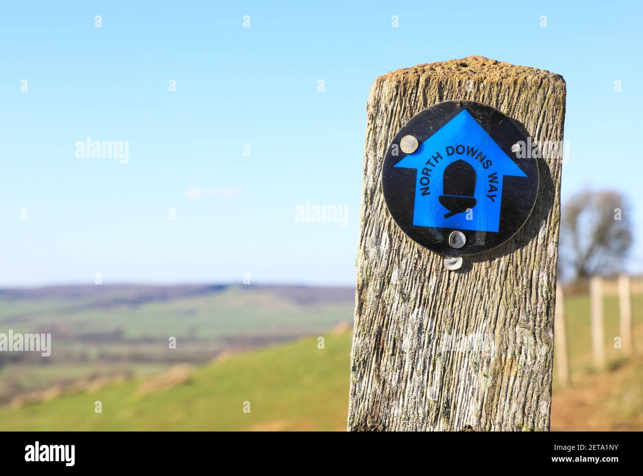 Le sentier pédestre longue distance North Downs Way près de Wye, près d'Ashford, Kent, Royaume-Uni Banque D'Images