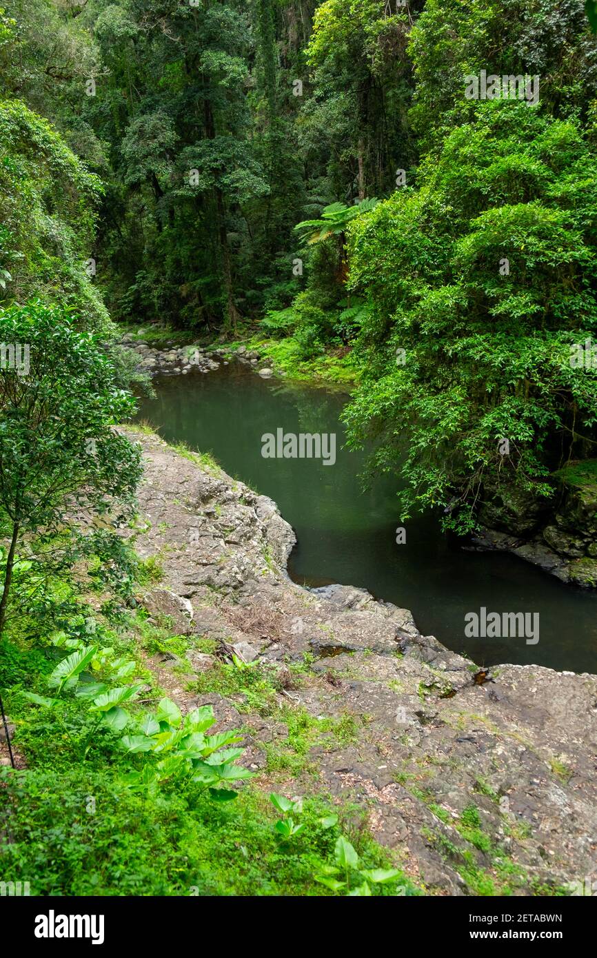 Blue pools, circuit West Canungra Creek, Queensland Australie Banque D'Images