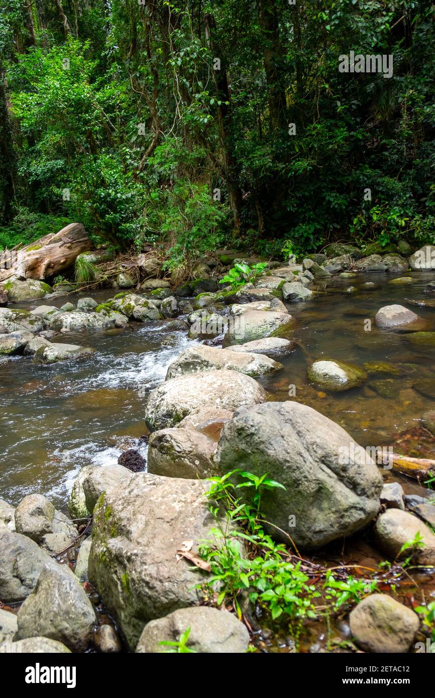 Traversées de ruisseau à Canungra Banque D'Images