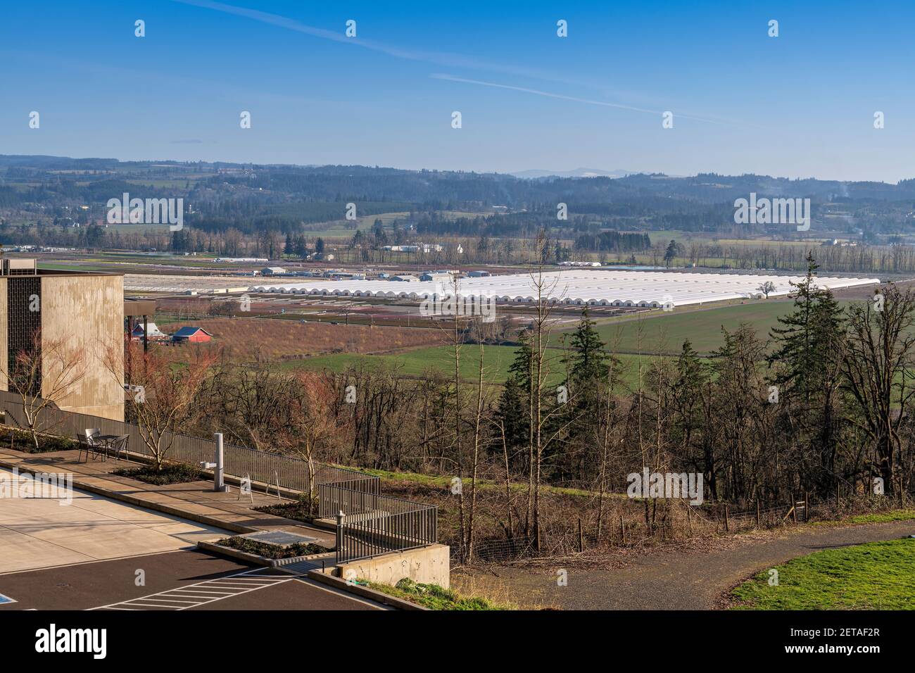 Vue panoramique sur Willamette Valley plante pépinière paysage État de l'Oregon. Banque D'Images