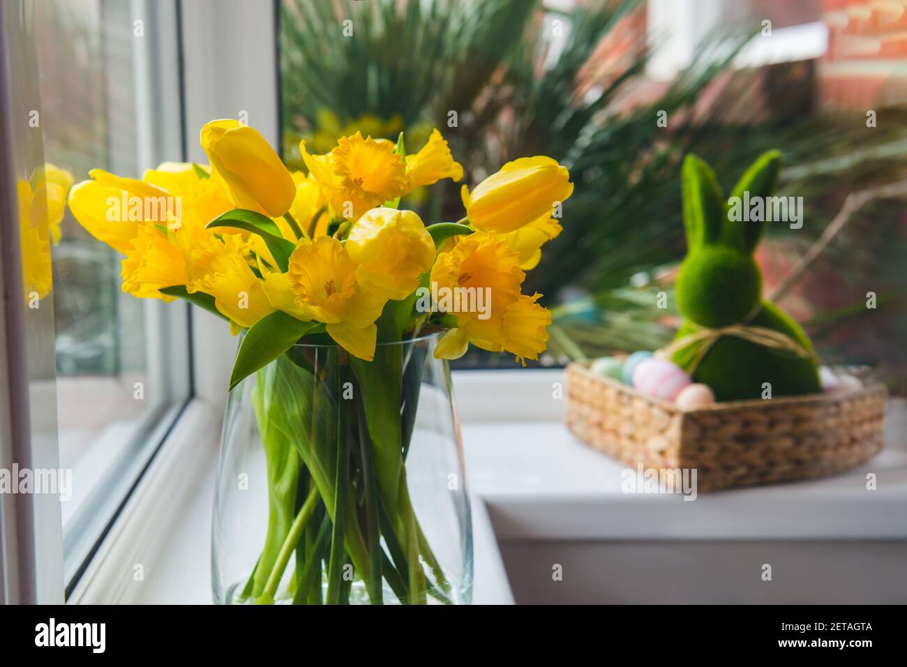 Bouquet de tulipes fraîches de printemps et de fleurs de jonquilles sur le rebord de la fenêtre avec lapin de Pâques dans un panier de paille avec des œufs de couleur sur le fond. Heureux Banque D'Images