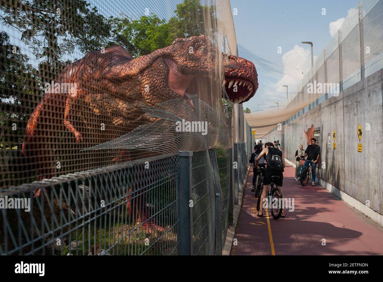 28.02.2021, Singapour, République de Singapour, Asie - des gens sur un chemin à côté d'un modèle grandeur nature d'un tyrannosaurus rex à Changi Jurassic Mile. Banque D'Images