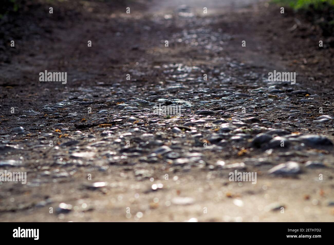 Le soleil tombe sur le chemin des pierres Banque D'Images