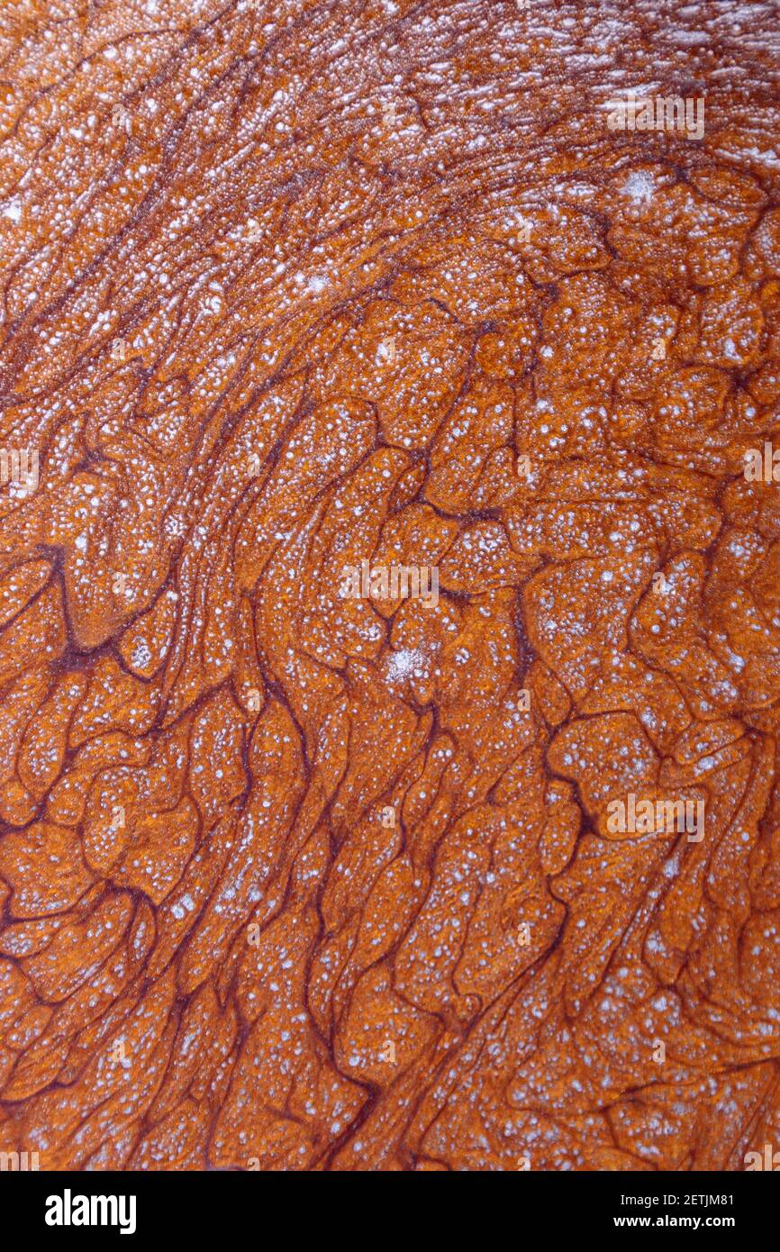 Texture de fond abstraite, acrylique liquide brun avec ajout de paillettes dorées. Banque D'Images