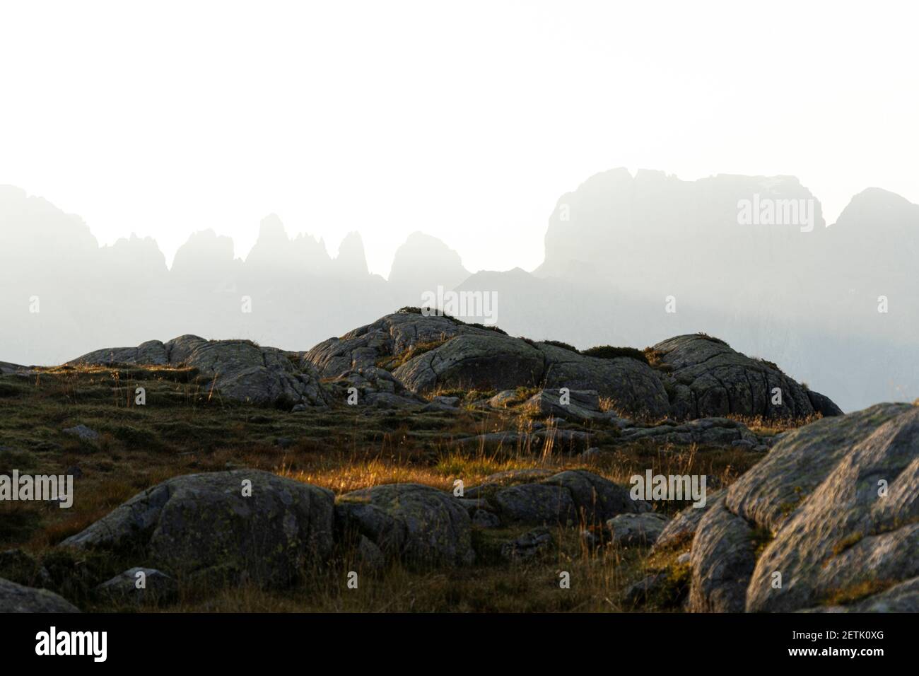 Brenta Dolomites dans la brume à l'aube vue de Rifugio Cornisello, Parc naturel Adamello Brenta, Trentin-Haut-Adige, Italie Banque D'Images