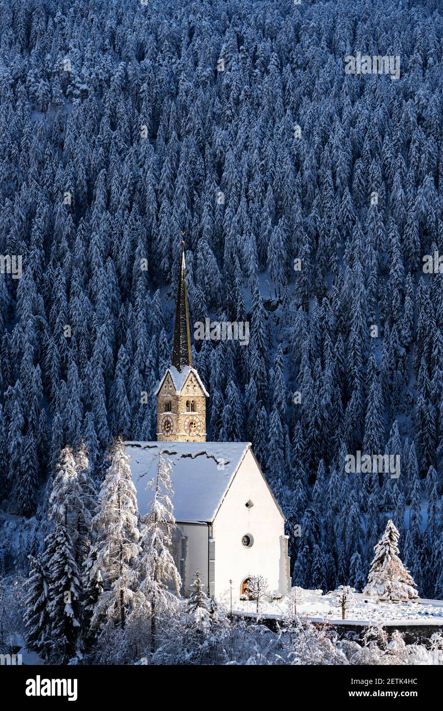 Église de San Geer (Kirche San Geer) et bois enneigés, Scuol, Val Mustair, canton de Graubunden, Engadin, Suisse Banque D'Images